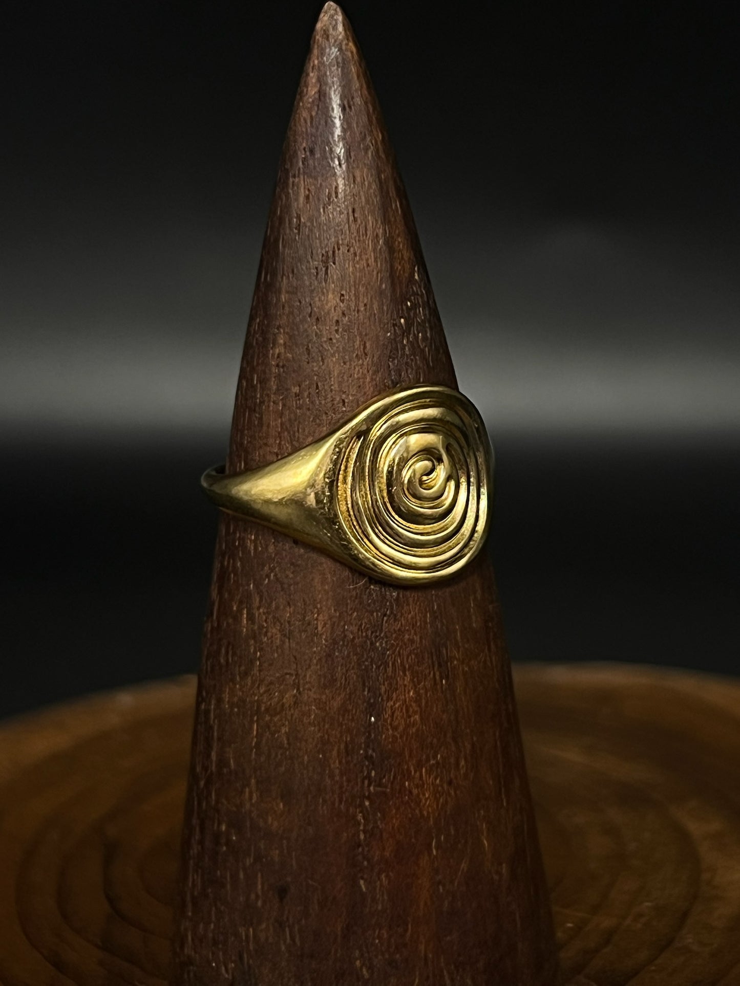 Spiral Signet Ring– Tarnish-Free Stainless Steel