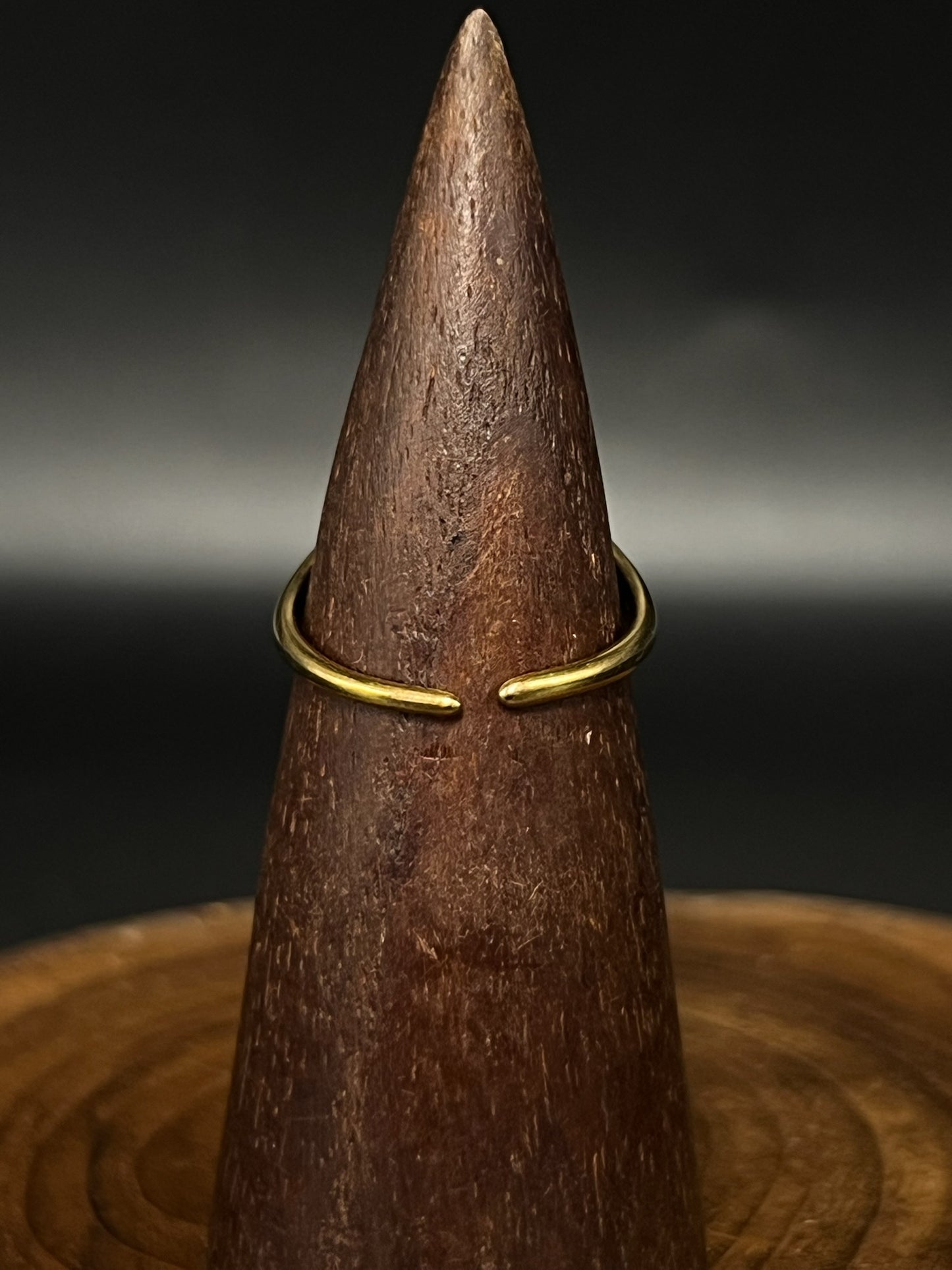 Spiral Signet Ring– Tarnish-Free Stainless Steel